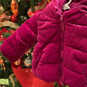 NWT Gymboree Toddler Puffy Velvet Jacket 2T